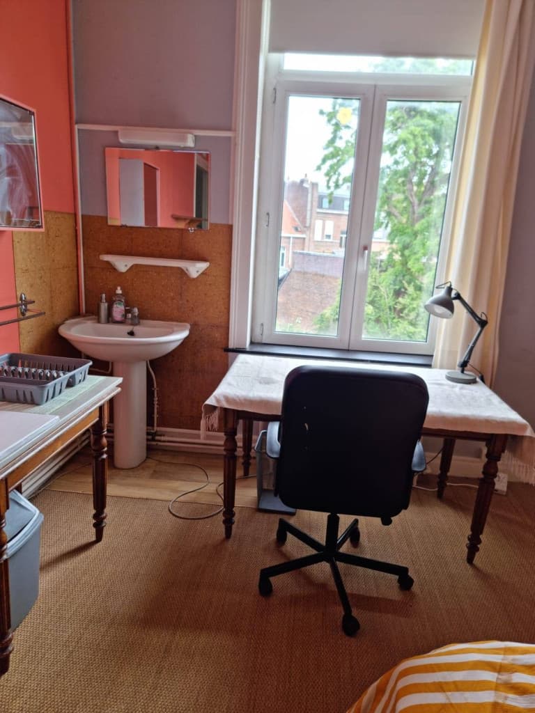 Loue chambre à étudiante de toute confiance à loyer réduit contre menus services - Lille Cormontaigne