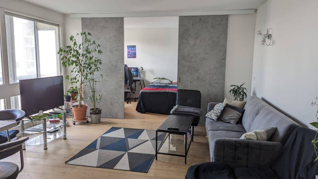 Propose colocation en région parisienne (Le Kremlin-Bicêtre) 83m²