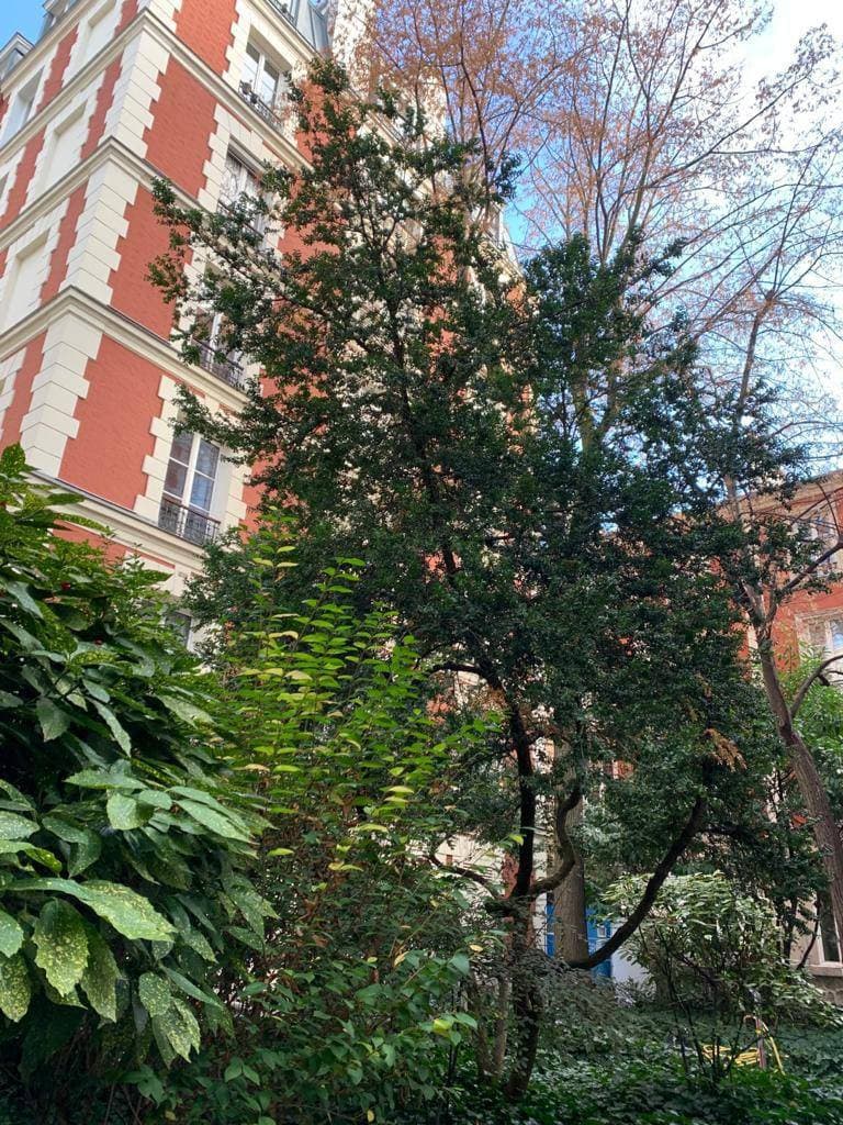 Loue appartement - 50m² - Paris Place de Clichy