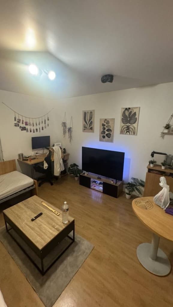 Sous-Loue appartement 24m²