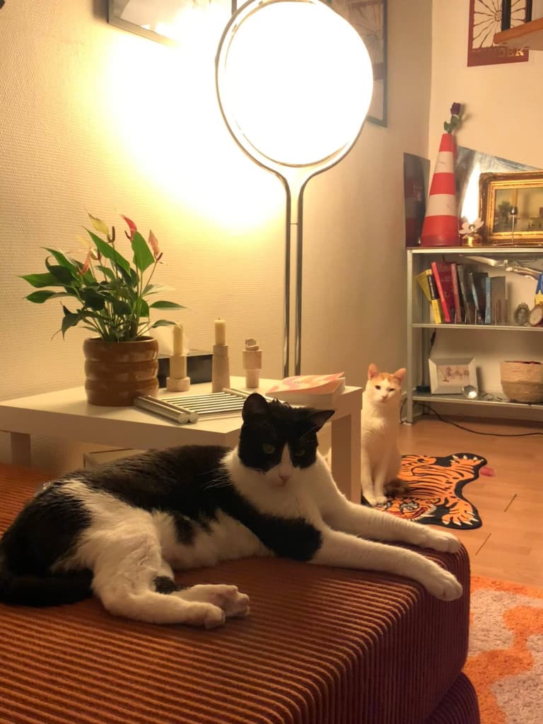 Loue appartement - 45m² - Paris 11ème