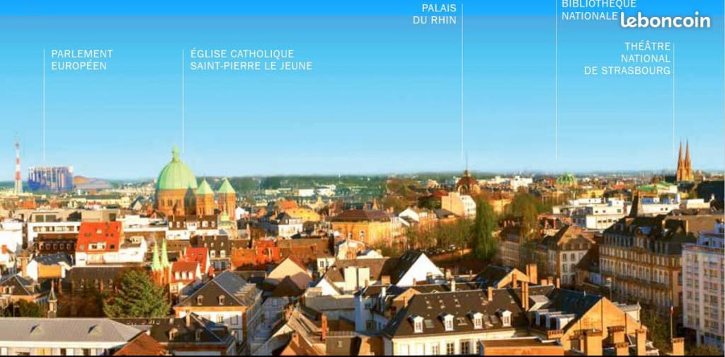 Appartement 1 pièce 24 m²