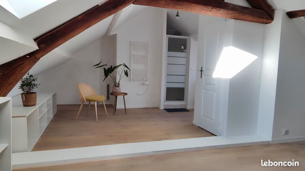 Appartement 20 m2 coeur de ville