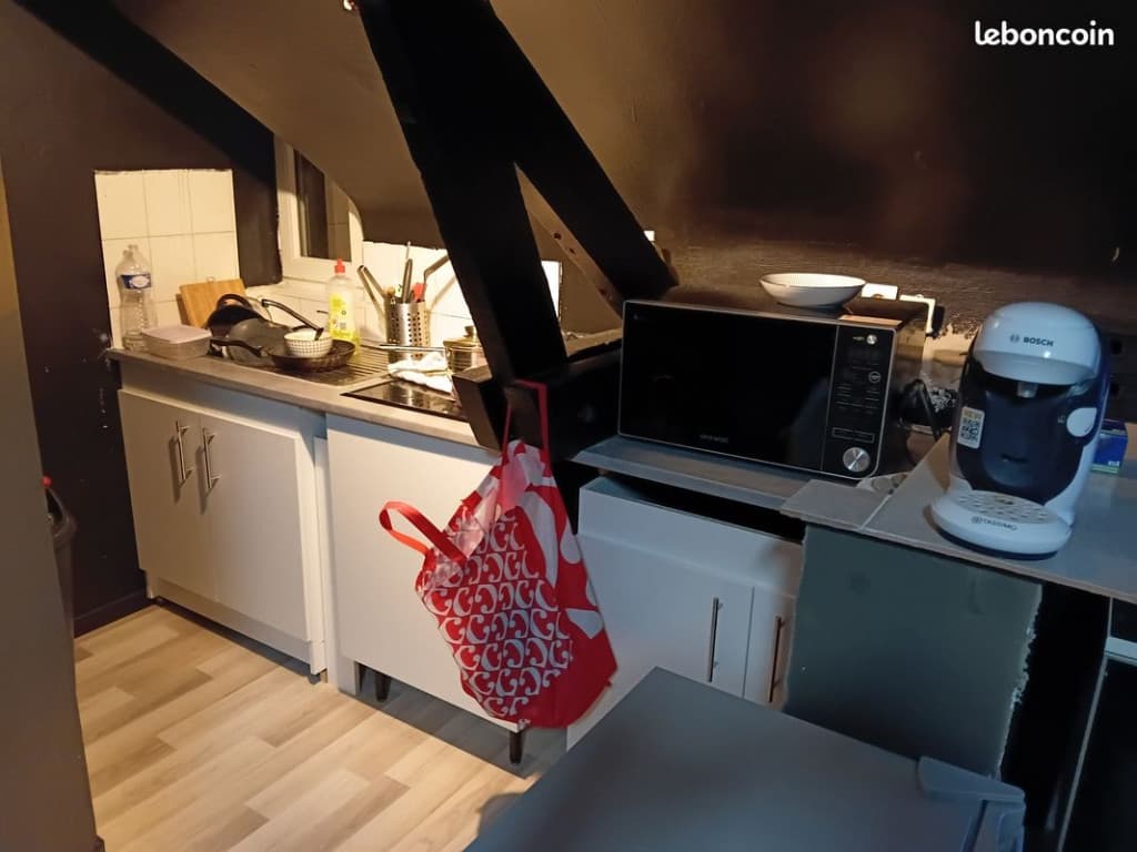 Grand studio à partager