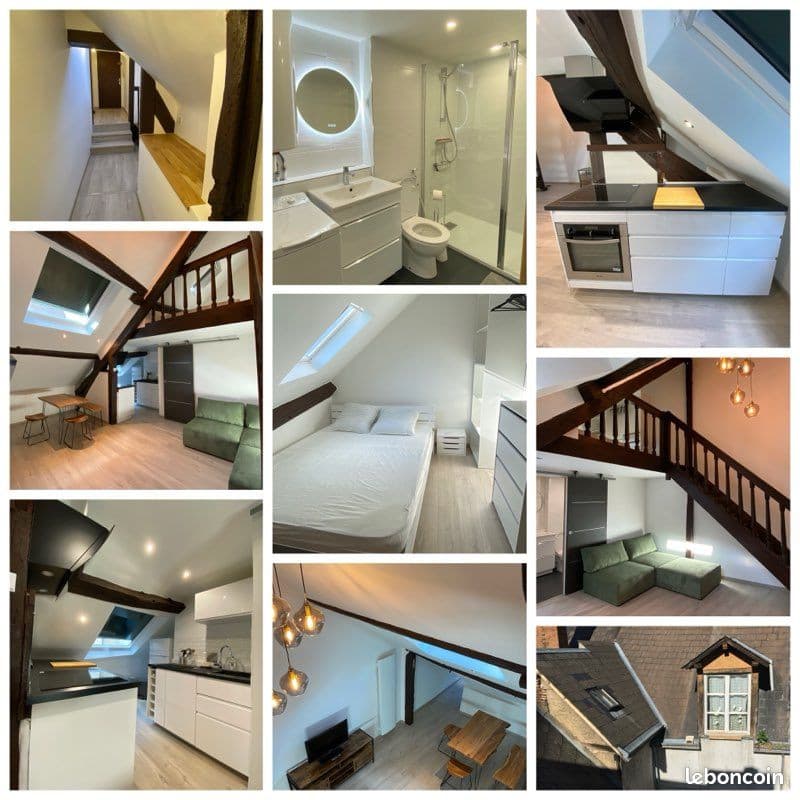 Duplex meublé de standing de 40 m2 en Hyper Centre d’Orleans, disponible à partir de Septembre