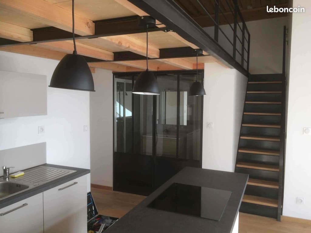 Appartement Croix Rousse
