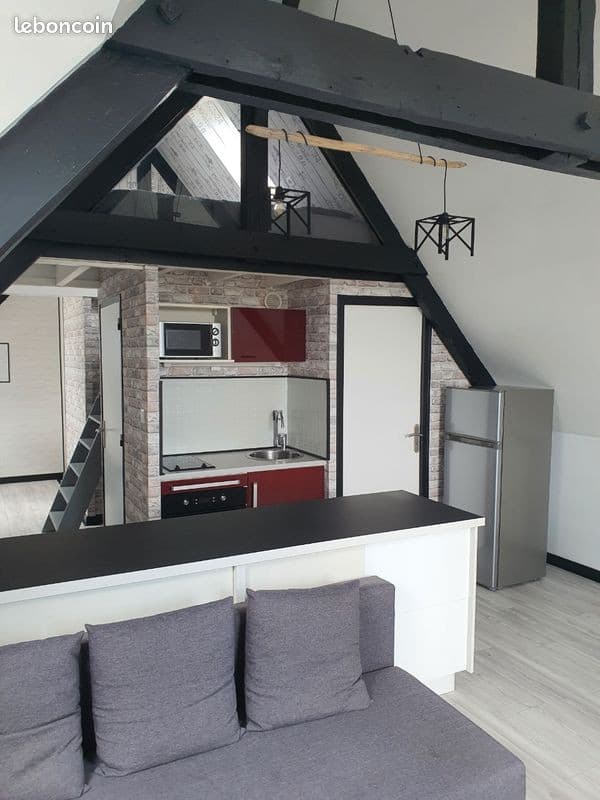 Appartement T1 de caractère de 50 m²