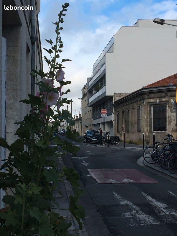 T1 meublé ornano pellegrin