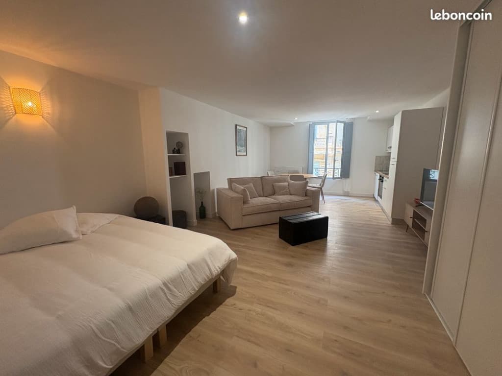 Grand studio climatisé centre ville