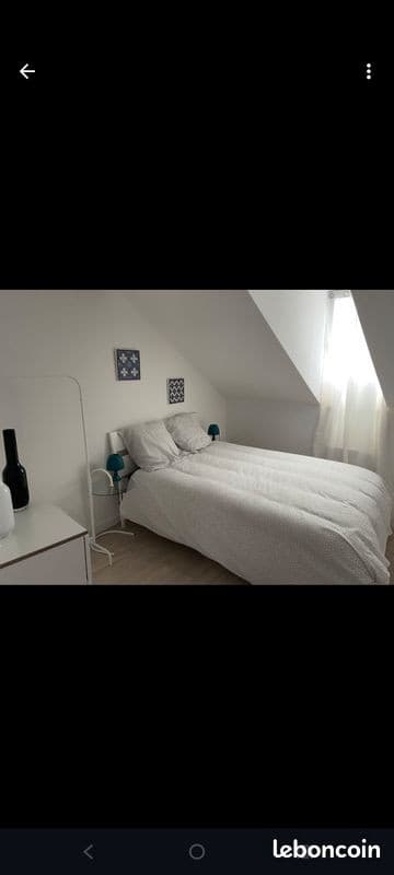 Bel appartement T2 50m2 hyper centre 4/4