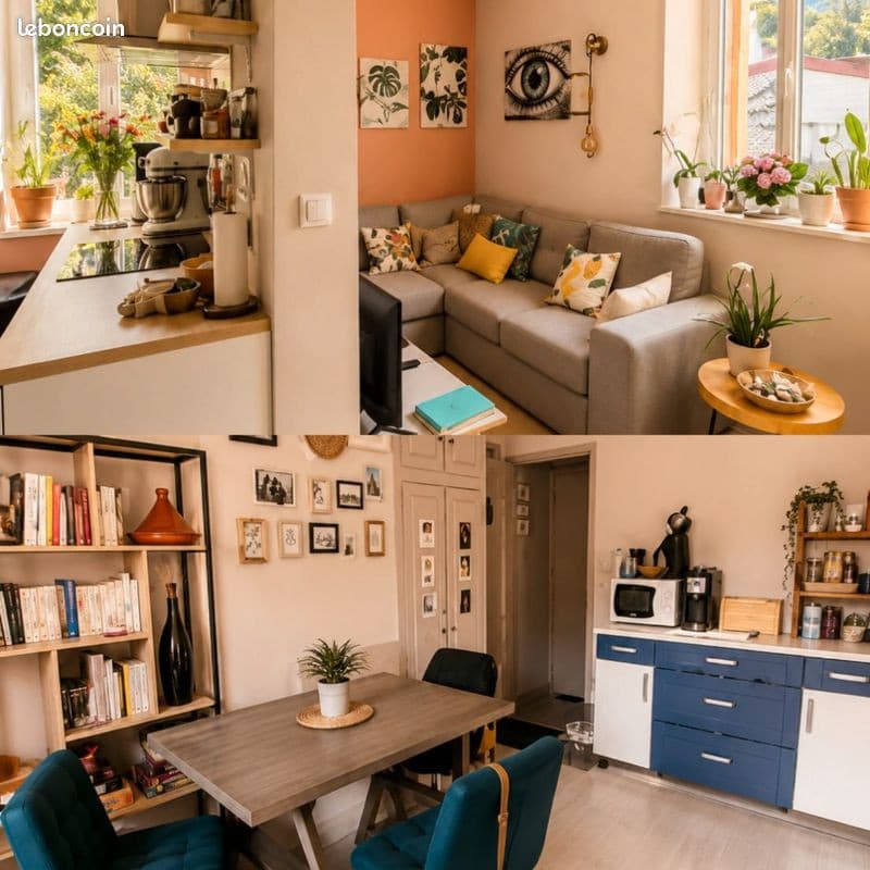 Appartement T3 Salins