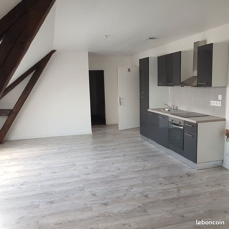 Loft 1 chambre centre proville
