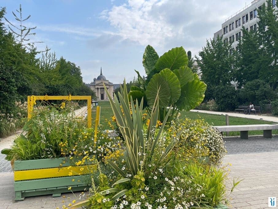 Location : Appartement Fontainebleau (77300)