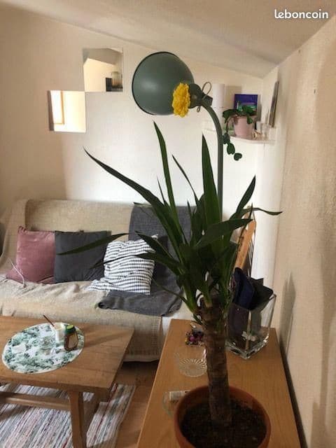 Studio 2 pièces 30 m²