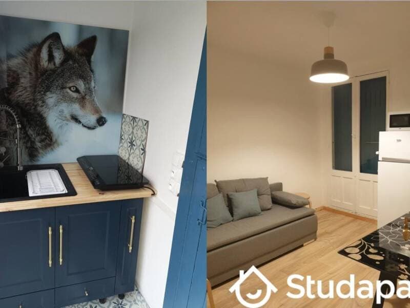 Studio à louer