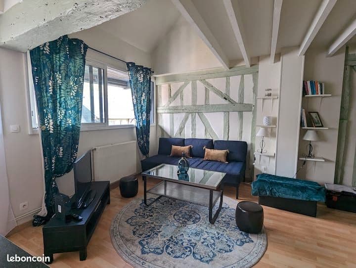 Superbe T3 Duplex meublé de 61 m²