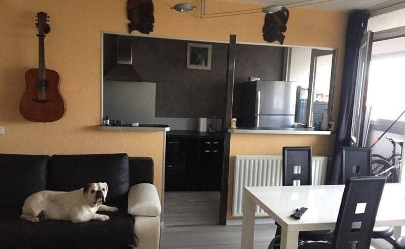 Appartement à louer