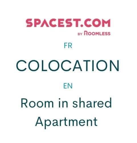 Studio à louer